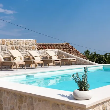 Hedera Estate, Hedera Viii *